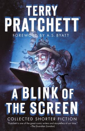 Cover of the book A Blink of the Screen by Megan Payne