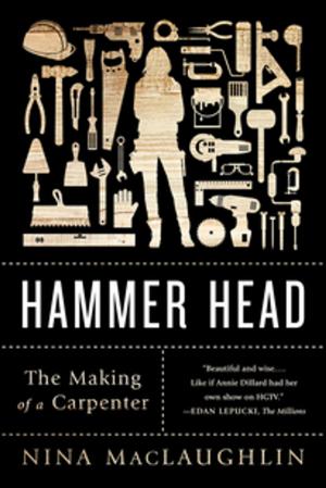 Cover of the book Hammer Head: The Making of a Carpenter by David Denborough