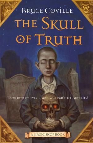 Cover of the book The Skull of Truth by Chris McMahon