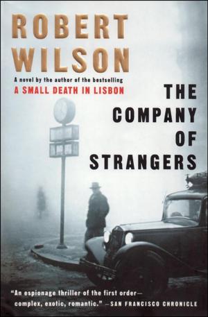 Cover of the book The Company of Strangers by Paul Theroux