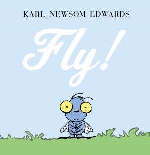 bigCover of the book Fly! by 