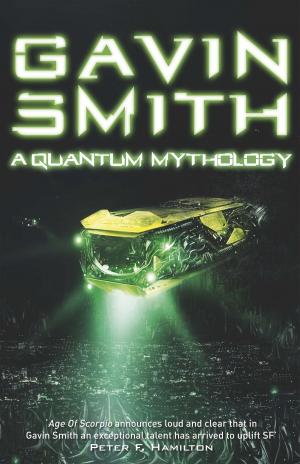 Book cover of A Quantum Mythology
