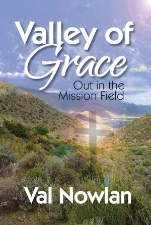Cover of the book Valley of Grace by Liliya V Galitskaya