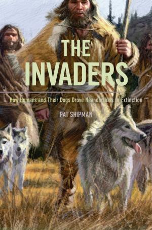 Cover of the book The Invaders by Ellen Fitzpatrick