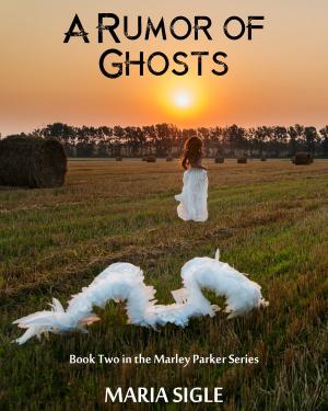 bigCover of the book Marley Parker and A Rumor of Ghosts by 
