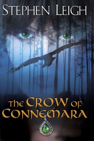 Cover of the book The Crow of Connemara by Lisanne Norman