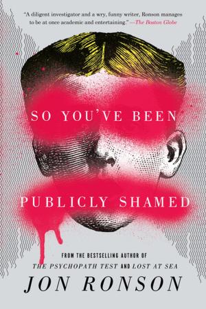 Cover of the book So You've Been Publicly Shamed by Norman E Rosenthal, MD