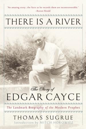 Cover of the book There Is a River by Douglas Stone, Elizabeth Tippett