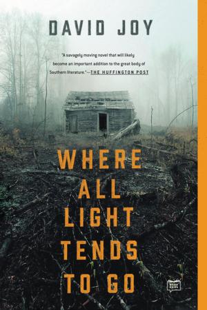 Cover of the book Where All Light Tends to Go by Jerome Preisler