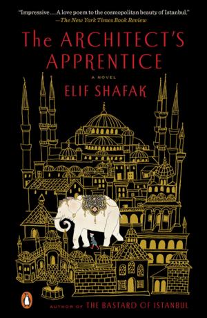 Cover of the book The Architect's Apprentice by Erika Andersen