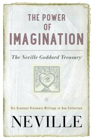 Cover of the book The Power of Imagination by Sarah Donohue