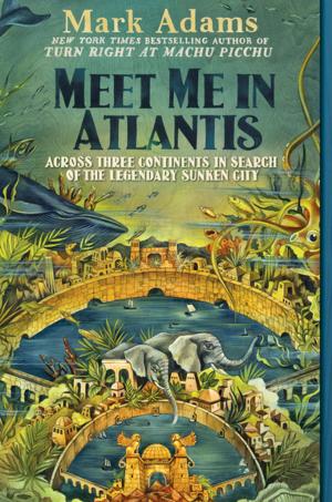 Cover of the book Meet Me in Atlantis by Faith Hunter