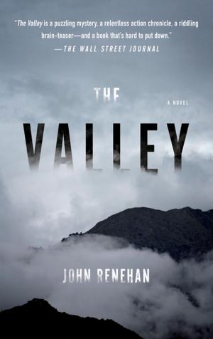 Cover of the book The Valley by John Doerr