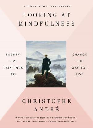Book cover of Looking at Mindfulness