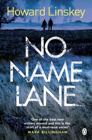 Book cover of No Name Lane