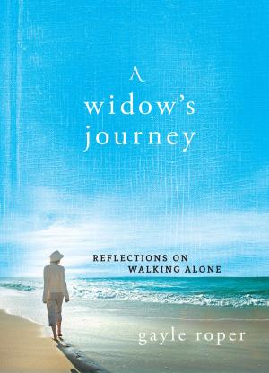 Cover of the book A Widow's Journey by Julie Ertz