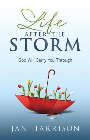 Cover of the book Life After the Storm by Dannah Gresh
