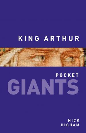 Cover of the book King Arthur by Stephen Haddelsey