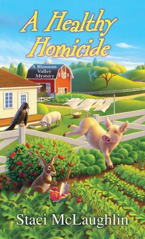 Cover of the book A Healthy Homicide by Lin Stepp