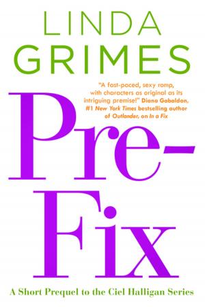 Book cover of Pre-Fix