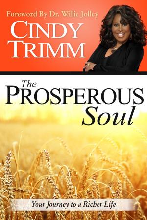 Book cover of The Prosperous Soul