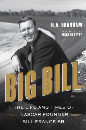 Cover of the book Big Bill by Don McKay