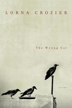 Cover of the book The Wrong Cat by Christopher Dewdney
