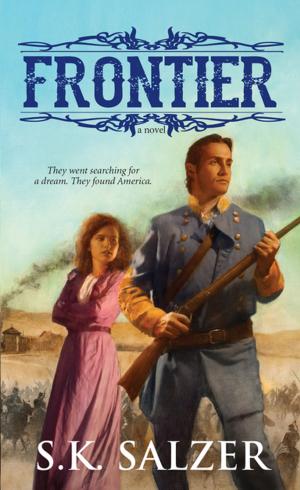 Cover of the book Frontier by P.J. Parrish