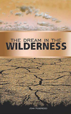 Cover of the book The Dream In The Wilderness by Sheldon Graham