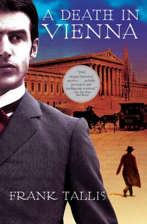 Cover of the book A Death in Vienna by Matthew McIntosh