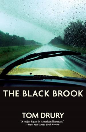 Cover of the book The Black Brook by Kiran Desai