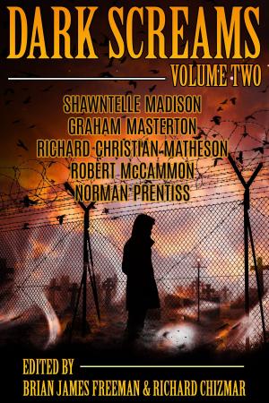 Book cover of Dark Screams: Volume Two
