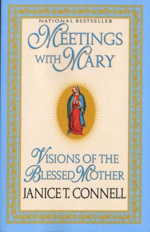 Cover of the book Meetings with Mary by Amanda Hemingway