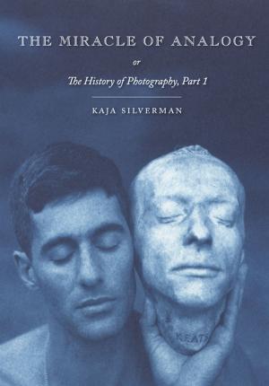 Book cover of The Miracle of Analogy