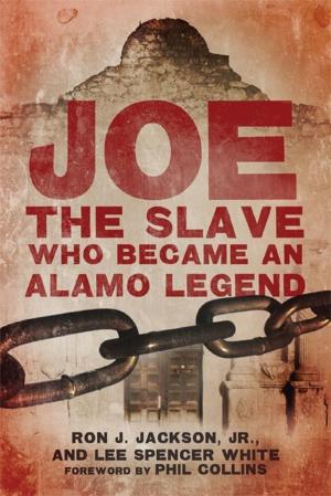 Book cover of Joe, the Slave Who Became an Alamo Legend