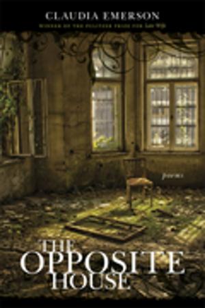 Cover of the book The Opposite House by Terry Hummer