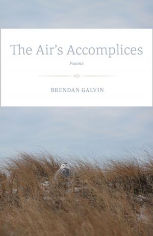 Book cover of The Air's Accomplices