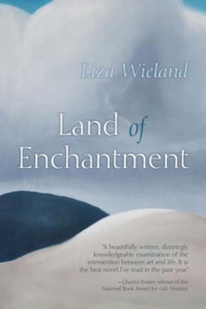 Cover of the book Land of Enchantment by Marilyn E. Weigold
