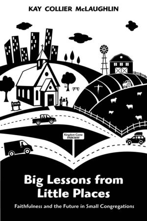 Book cover of Big Lessons from Little Places