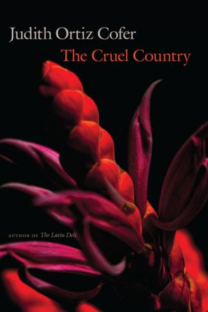 Cover of the book The Cruel Country by Marta Domínguez Mejía