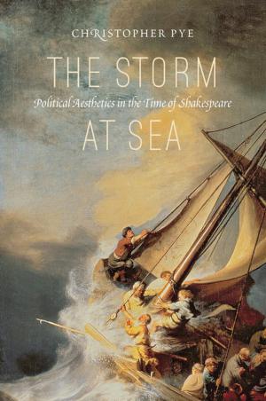 Cover of the book The Storm at Sea by Daniel Berrigan, Robin Andersen, James L. Marsh