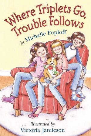 Cover of the book Where Triplets Go, Trouble Follows by David A. Adler