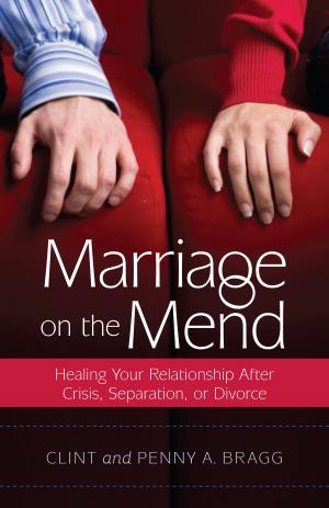 Cover of the book Marriage on the Mend by R. Larry Moyer