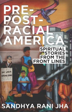 Book cover of Pre-Post-Racial America