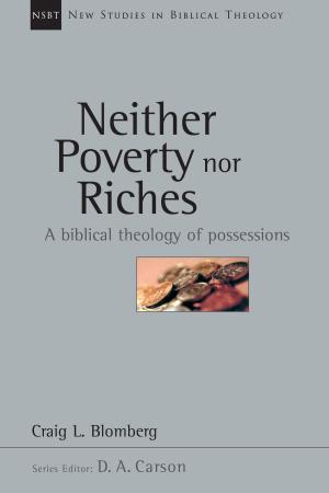 Cover of the book Neither Poverty nor Riches by James M. Hamilton, Jr.