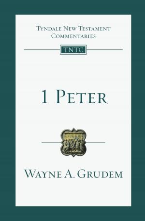 Cover of the book 1 Peter by Stephen P. Greggo, Timothy A. Sisemore