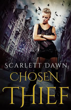 Cover of the book Chosen Thief by Julie Mac