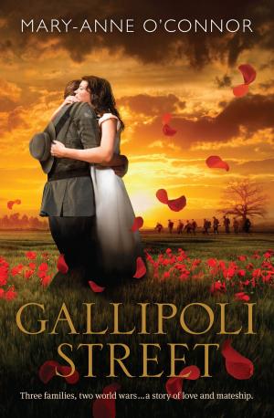 Cover of the book Gallipoli Street by James Dean, Kimberly Dean
