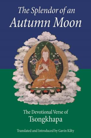 Book cover of The Splendor of an Autumn Moon