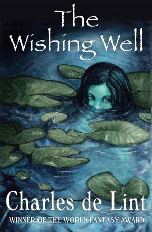 Book cover of The Wishing Well